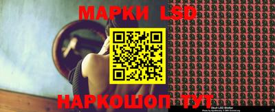 стафф Гай