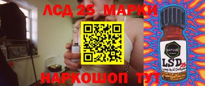 стафф Гай